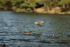 みやま公園にて