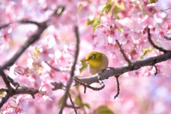次はどこ行こ