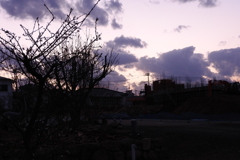 DSCN2804