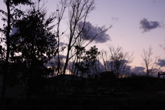 DSCN2795