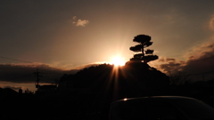 DSCN9195