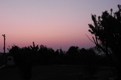 DSCN7584