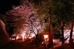 武雄神社１