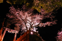 武雄神社４