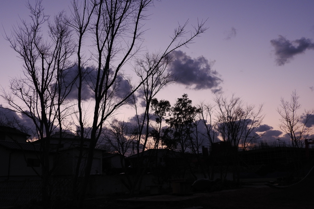 DSCN2800