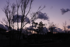 DSCN2800