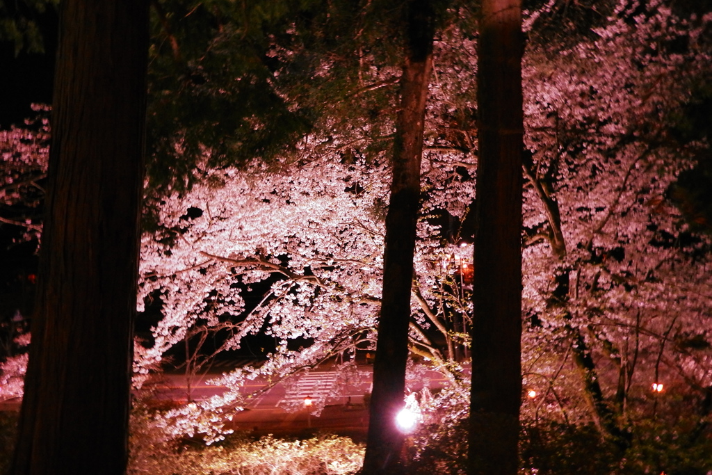 武雄神社３