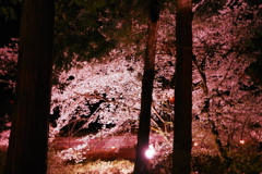 武雄神社３