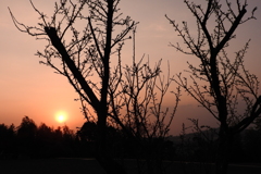 DSCN2633