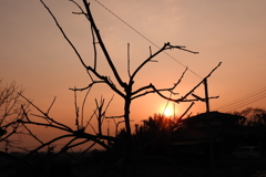 DSCN2659