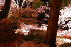 武雄神社
