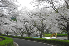 DSCN5768