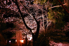武雄神社２