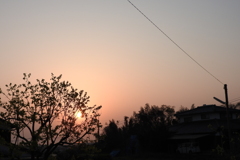 DSCN7588