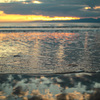 海
