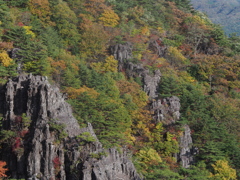 山　　紅葉