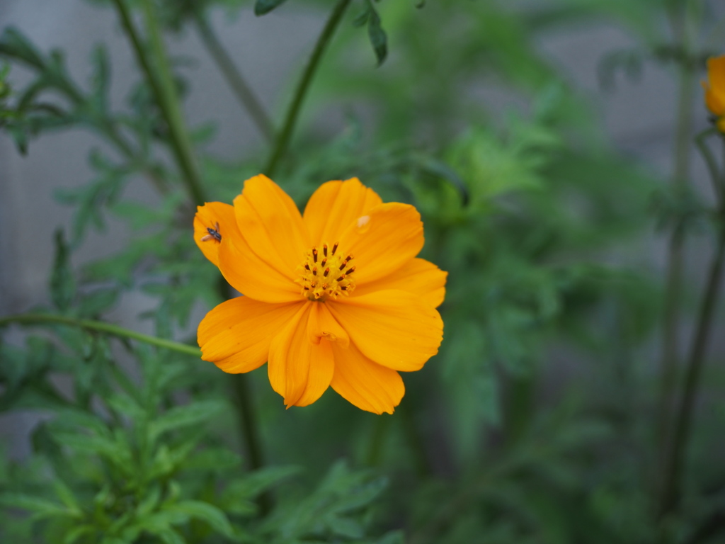 P7300204