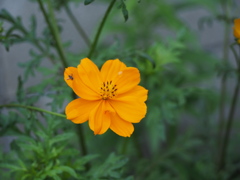 P7300204