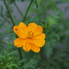 P7300204