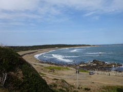 春の君ヶ浜