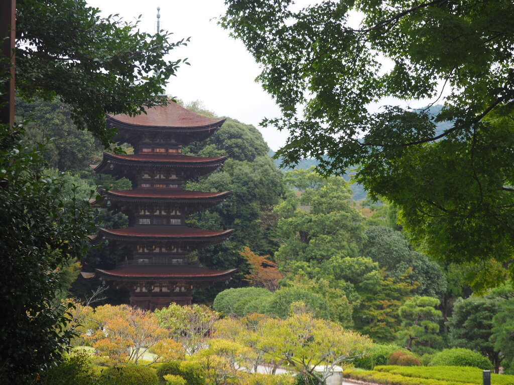 瑠璃光寺五重塔　〜山口県〜