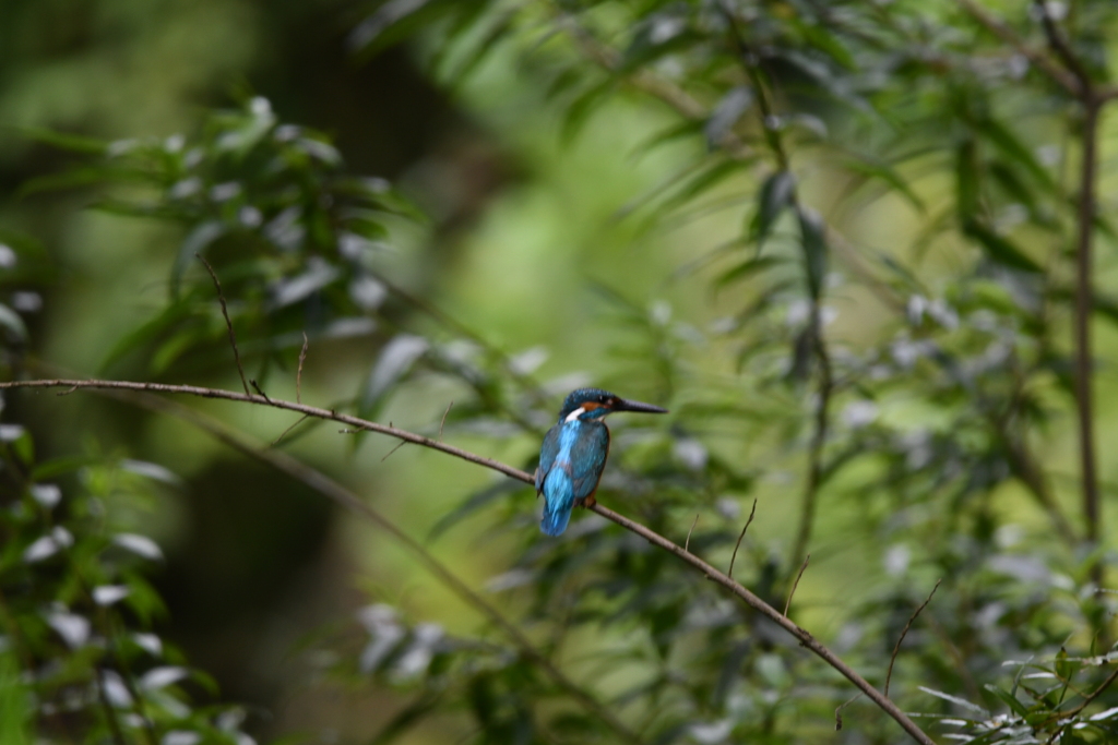 0E6674C3-FFAA-412F-8193-8DD943C30384