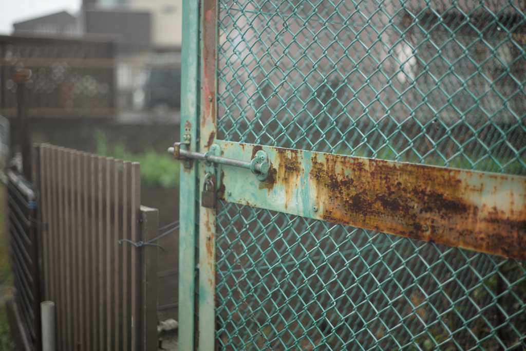 雨降りのエメラルド