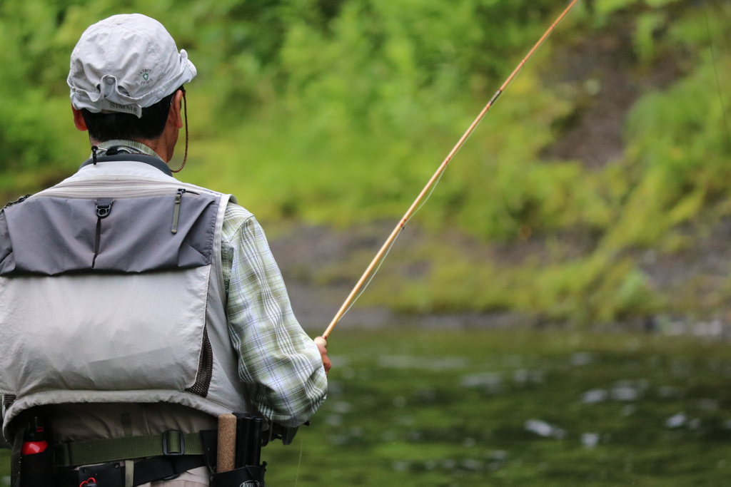 63D9CD43-445C-4CC5-B75E-B2EB0A939F0C