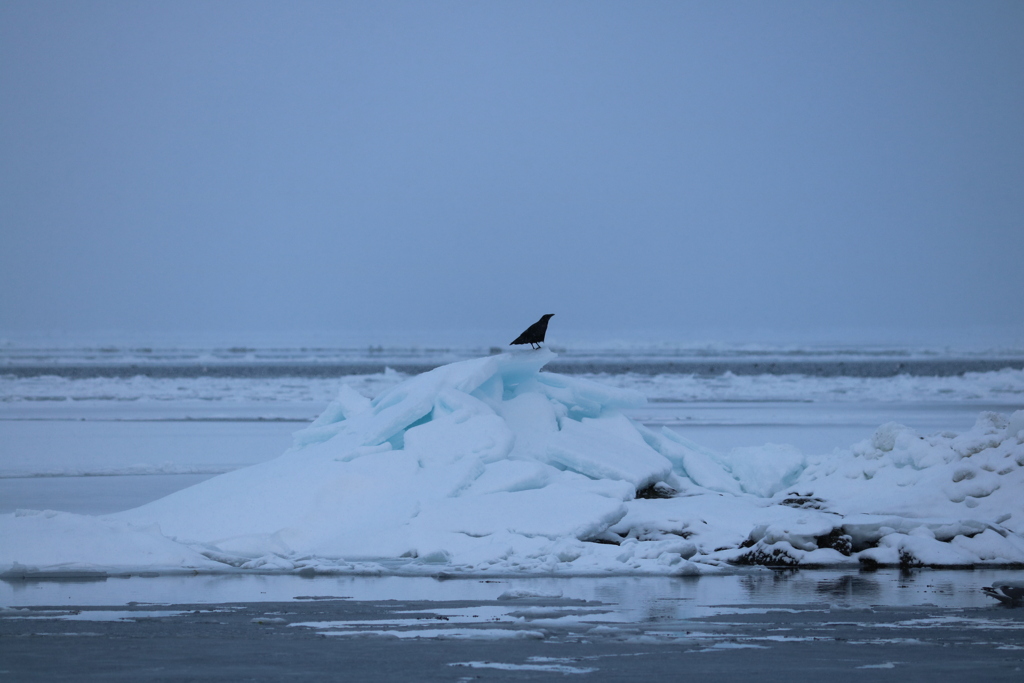 流氷