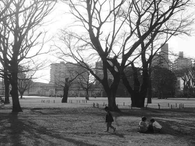 昼下がりの公園