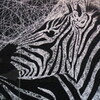 ZEBRA 2