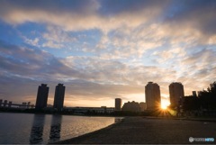 お台場海浜公園の朝日