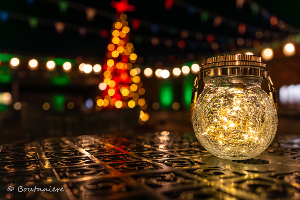 キャンドル・ライト×クリスマス・ツリー