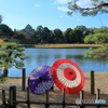 回想2020年１１月：岡山後楽園×和傘×烏城