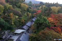 清水寺から　其の壱