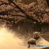 桜×白鳥×波紋×夕陽