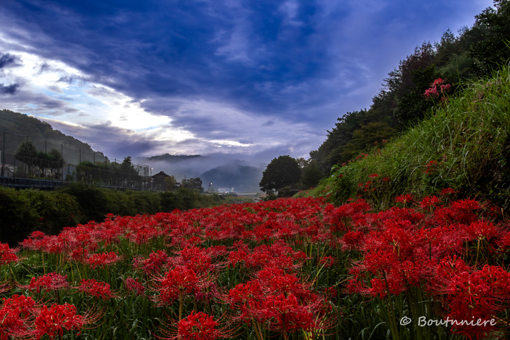 2025年を振り返る(3)
