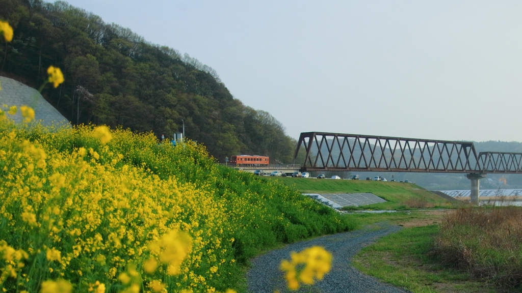 井原鉄道の春（夢やすらぎ号）