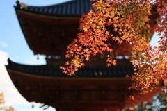 三重塔と紅葉