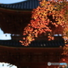 三重塔と紅葉