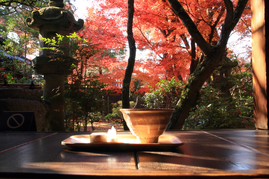 大原本邸の紅葉×抹茶茶碗