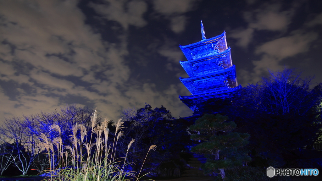備中国分寺×ブルー・ライトアップ in 2024