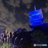 備中国分寺×ブルー・ライトアップ in 2024