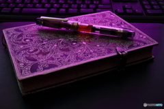 万年筆×paperblanks