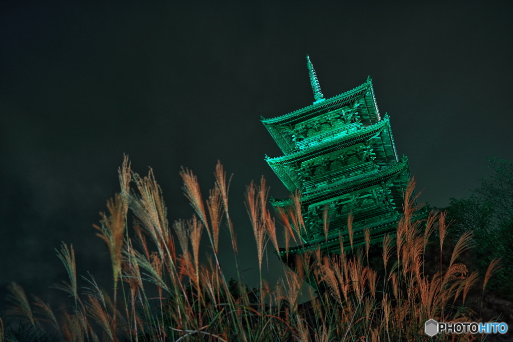 ススキ×備中国分寺