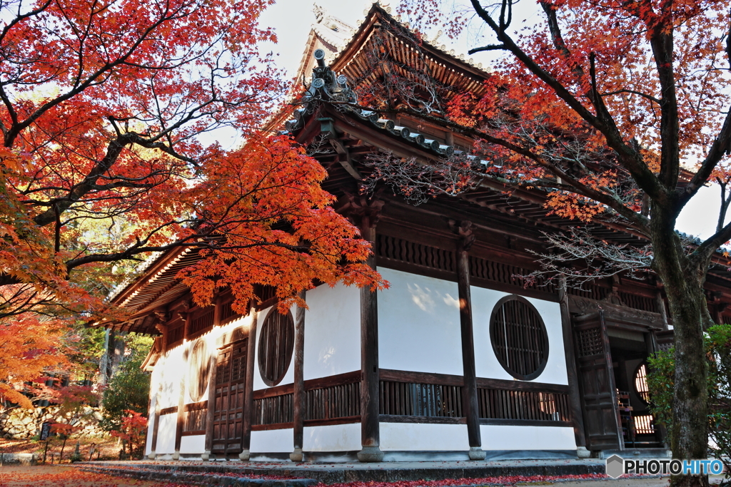 井山宝福寺　仏殿