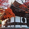 井山宝福寺　仏殿