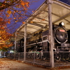 下石井公園（岡山市）のＤ５１