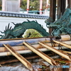 Year of the Dragon