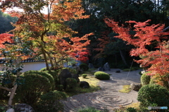 井山般若禅院の庭